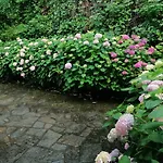 Casa Il Sorriso Del 公寓 阿维里亚那