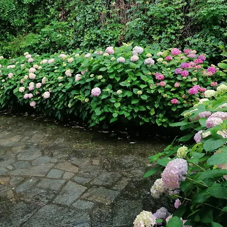 Casa Il Sorriso Del Appartamento Avigliana